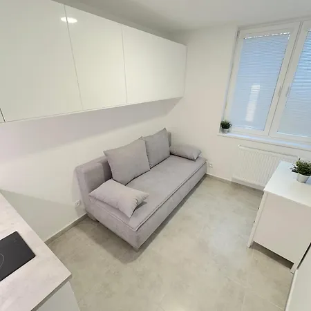 Krasny - 4 V Blizkosti Centra Apartment