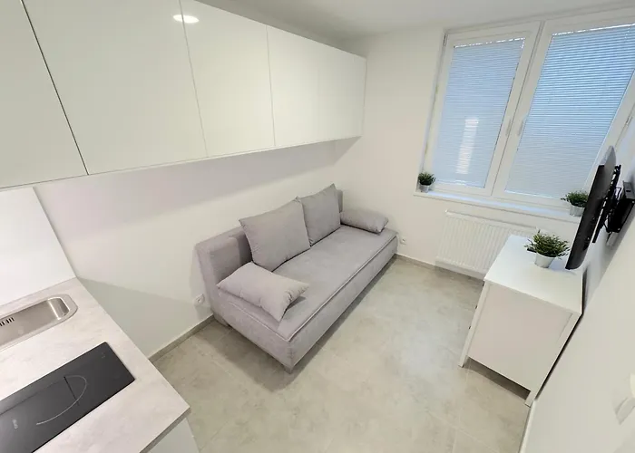 Krasny - 4 V Blizkosti Centra Apartmán